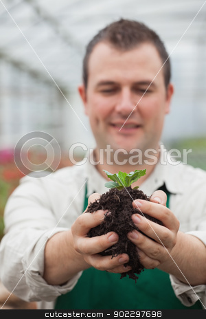 To use this stock image in your creative project, please select the size you need over to the right and click the "Add to Cart" button.
Your downloaded image will come with the Cutcaster watermark removed so don’t worry about the watermark you see on this page. Gardener holding shrub about to plant stock photo, Gardener holding shrub about to plant in greenhouse by Wavebreak Media