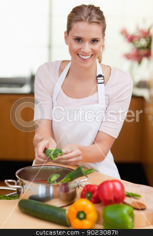 To use this stock image in your creative project, please select the size you need over to the right and click the "Add to Cart" button.
Your downloaded image will come with the Cutcaster watermark removed so don’t worry about the watermark you see on this page. Portrait of a smiling woman cooking stock photo, Portrait of a smiling woman cooking in her kitchen by Wavebreak Media
