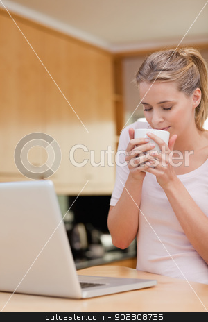 To use this stock image in your creative project, please select the size you need over to the right and click the "Add to Cart" button.
Your downloaded image will come with the Cutcaster watermark removed so don’t worry about the watermark you see on this page. Portrait of a young woman using a laptop while drinking tea stock photo, Portrait of a young woman using a laptop while drinking tea in her kitchen by Wavebreak Media