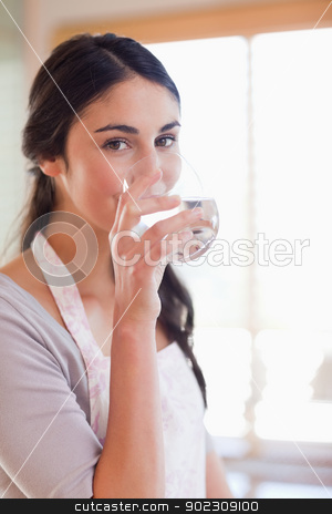 To use this stock image in your creative project, please select the size you need over to the right and click the "Add to Cart" button.
Your downloaded image will come with the Cutcaster watermark removed so don’t worry about the watermark you see on this page. Portrait of a beautiful woman drinking water stock photo, Portrait of a beautiful woman drinking water in her kitchen by Wavebreak Media