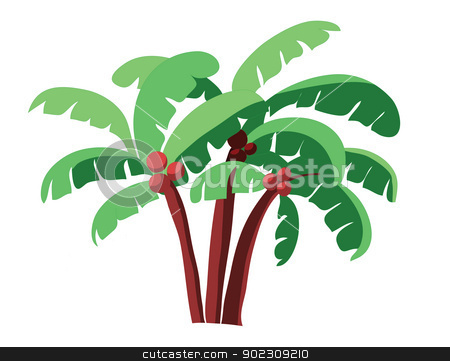 To use this stock image in your creative project, please select the size you need over to the right and click the "Add to Cart" button.
Your downloaded image will come with the Cutcaster watermark removed so don’t worry about the watermark you see on this page. coconut tree stock vector clipart, coconut tree isolated on white by Vichaya Kiatying-Angsulee