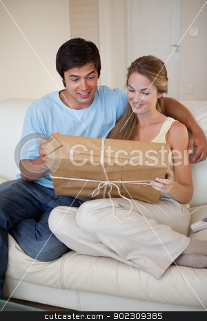 To use this stock image in your creative project, please select the size you need over to the right and click the "Add to Cart" button.
Your downloaded image will come with the Cutcaster watermark removed so don’t worry about the watermark you see on this page. Portrait of a young couple looking at a package stock photo, Portrait of a young couple looking at a package in their living room by Wavebreak Media