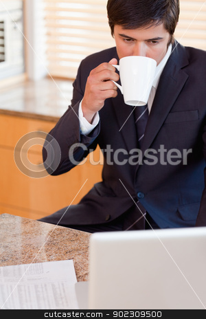 To use this stock image in your creative project, please select the size you need over to the right and click the "Add to Cart" button.
Your downloaded image will come with the Cutcaster watermark removed so don’t worry about the watermark you see on this page. Portrait of a businessman drinking coffee while using a laptop stock photo, Portrait of a businessman drinking coffee while using a laptop in his kitchen by Wavebreak Media