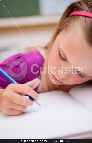 To use this stock image in your creative project, please select the size you need over to the right and click the "Add to Cart" button.
Your downloaded image will come with the Cutcaster watermark removed so don’t worry about the watermark you see on this page. Portrait of a young schoolgirl writing stock photo, Portrait of a young schoolgirl writing in a classroom by Wavebreak Media