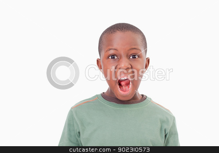 To use this stock image in your creative project, please select the size you need over to the right and click the "Add to Cart" button.
Your downloaded image will come with the Cutcaster watermark removed so don’t worry about the watermark you see on this page. Boy with the mouth open stock photo, Boy with the mouth open against a white background by Wavebreak Media