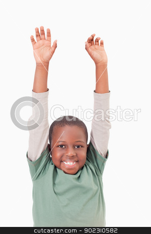 To use this stock image in your creative project, please select the size you need over to the right and click the "Add to Cart" button.
Your downloaded image will come with the Cutcaster watermark removed so don’t worry about the watermark you see on this page. Portrait of a boy raising his arms stock photo, Portrait of a boy raising his arms against a white background by Wavebreak Media