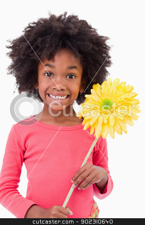 To use this stock image in your creative project, please select the size you need over to the right and click the "Add to Cart" button.
Your downloaded image will come with the Cutcaster watermark removed so don’t worry about the watermark you see on this page. Portrait of a smiling girl holding a flower stock photo, Portrait of a smiling girl holding a flower against a white background by Wavebreak Media
