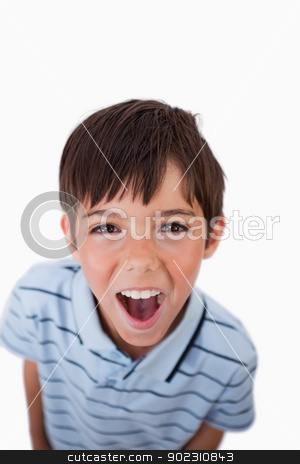 To use this stock image in your creative project, please select the size you need over to the right and click the "Add to Cart" button.
Your downloaded image will come with the Cutcaster watermark removed so don’t worry about the watermark you see on this page. Portrait of a boy screaming at the viewer stock photo, Portrait of a boy screaming at the viewer against a white background by Wavebreak Media