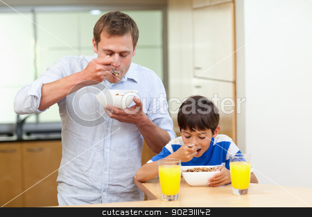 To use this stock image in your creative project, please select the size you need over to the right and click the "Add to Cart" button.
Your downloaded image will come with the Cutcaster watermark removed so don’t worry about the watermark you see on this page. Father and son having cereals stock photo, Father and son having cereals together by Wavebreak Media