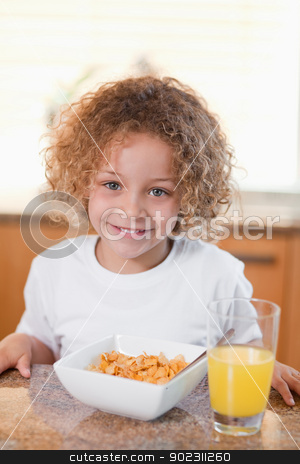 To use this stock image in your creative project, please select the size you need over to the right and click the "Add to Cart" button.
Your downloaded image will come with the Cutcaster watermark removed so don’t worry about the watermark you see on this page. Happy girl having cereals and orange juice for breakfast stock photo, Happy smiling girl having cereals and orange juice for breakfast by Wavebreak Media
