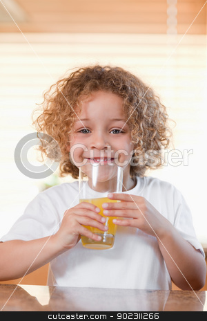 To use this stock image in your creative project, please select the size you need over to the right and click the "Add to Cart" button.
Your downloaded image will come with the Cutcaster watermark removed so don’t worry about the watermark you see on this page. Happy girl drinking orange juice in the kitchen stock photo, Happy young girl drinking orange juice in the kitchen by Wavebreak Media