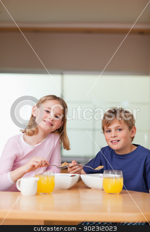 To use this stock image in your creative project, please select the size you need over to the right and click the "Add to Cart" button.
Your downloaded image will come with the Cutcaster watermark removed so don’t worry about the watermark you see on this page. Portrait of young children having breakfast stock photo, Portrait of young children having breakfast in a kitchen by Wavebreak Media