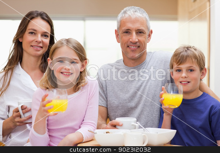 To use this stock image in your creative project, please select the size you need over to the right and click the "Add to Cart" button.
Your downloaded image will come with the Cutcaster watermark removed so don’t worry about the watermark you see on this page. Happy family having breakfast stock photo, Happy family having breakfast in their kitchen by Wavebreak Media