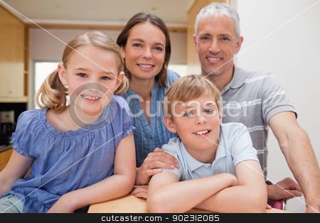 To use this stock image in your creative project, please select the size you need over to the right and click the "Add to Cart" button.
Your downloaded image will come with the Cutcaster watermark removed so don’t worry about the watermark you see on this page. Family posing in a kitchen stock photo, Family posing in a kitchen while looking at the camera by Wavebreak Media