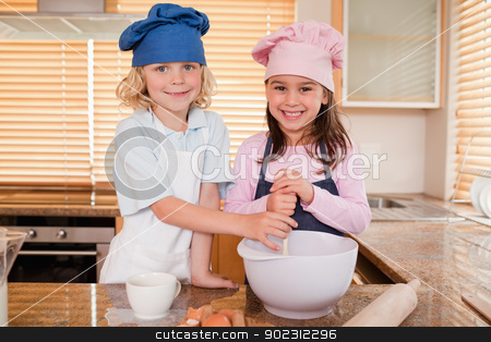 To use this stock image in your creative project, please select the size you need over to the right and click the "Add to Cart" button.
Your downloaded image will come with the Cutcaster watermark removed so don’t worry about the watermark you see on this page. Siblings baking together stock photo, Siblings baking together in a kitchen by Wavebreak Media