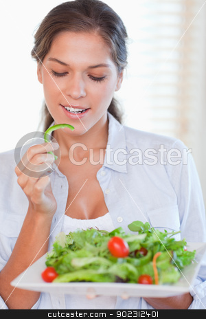 To use this stock image in your creative project, please select the size you need over to the right and click the "Add to Cart" button.
Your downloaded image will come with the Cutcaster watermark removed so don’t worry about the watermark you see on this page. Portrait of a healthy woman eating a salad stock photo, Portrait of a healthy woman eating a salad in her kitchen by Wavebreak Media