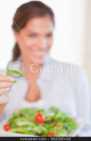 To use this stock image in your creative project, please select the size you need over to the right and click the "Add to Cart" button.
Your downloaded image will come with the Cutcaster watermark removed so don’t worry about the watermark you see on this page. Portrait of a young woman eating a salad stock photo, Portrait of a young woman eating a salad with the camera focus on the pepper by Wavebreak Media
