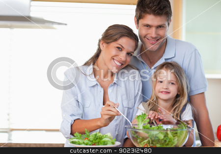 To use this stock image in your creative project, please select the size you need over to the right and click the "Add to Cart" button.
Your downloaded image will come with the Cutcaster watermark removed so don’t worry about the watermark you see on this page. Smiling family preparing a salad stock photo, Smiling family preparing a salad in their kitchen by Wavebreak Media