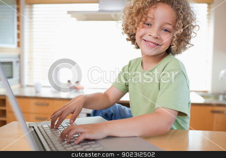 To use this stock image in your creative project, please select the size you need over to the right and click the "Add to Cart" button.
Your downloaded image will come with the Cutcaster watermark removed so don’t worry about the watermark you see on this page. Boy using a laptop stock photo, Boy using a laptop in a kitchen by Wavebreak Media