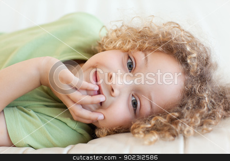To use this stock image in your creative project, please select the size you need over to the right and click the "Add to Cart" button.
Your downloaded image will come with the Cutcaster watermark removed so don’t worry about the watermark you see on this page. Close up of a boy lying on a sofa stock photo, Close up of a boy lying on a sofa while looking at the camera by Wavebreak Media