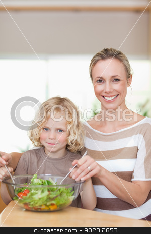 To use this stock image in your creative project, please select the size you need over to the right and click the "Add to Cart" button.
Your downloaded image will come with the Cutcaster watermark removed so don’t worry about the watermark you see on this page. Smiling mother and son stirring salad stock photo, Smiling mother and son stirring salad together by Wavebreak Media