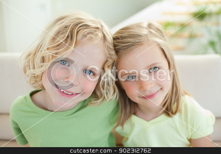 To use this stock image in your creative project, please select the size you need over to the right and click the "Add to Cart" button.
Your downloaded image will come with the Cutcaster watermark removed so don’t worry about the watermark you see on this page. Smiling siblings on the sofa stock photo, Smiling siblings together on the sofa by Wavebreak Media