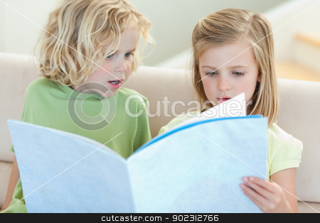 To use this stock image in your creative project, please select the size you need over to the right and click the "Add to Cart" button.
Your downloaded image will come with the Cutcaster watermark removed so don’t worry about the watermark you see on this page. Siblings on the sofa reading magazine stock photo, Siblings on the sofa reading magazine together by Wavebreak Media