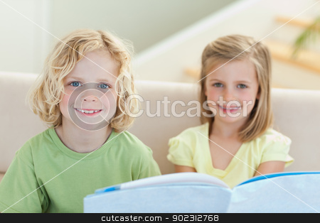To use this stock image in your creative project, please select the size you need over to the right and click the "Add to Cart" button.
Your downloaded image will come with the Cutcaster watermark removed so don’t worry about the watermark you see on this page. Siblings reading booklet on the sofa stock photo, Siblings reading booklet together on the sofa by Wavebreak Media