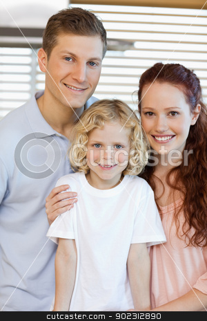 To use this stock image in your creative project, please select the size you need over to the right and click the "Add to Cart" button.
Your downloaded image will come with the Cutcaster watermark removed so don’t worry about the watermark you see on this page. Smiling family standing in the kitchen stock photo, Smiling family standing in the kitchen together by Wavebreak Media