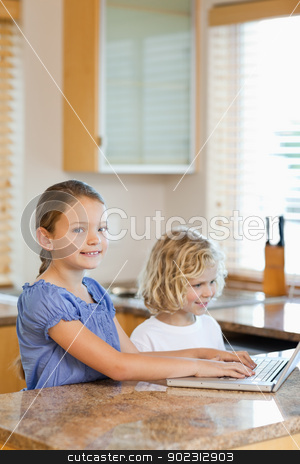 To use this stock image in your creative project, please select the size you need over to the right and click the "Add to Cart" button.
Your downloaded image will come with the Cutcaster watermark removed so don’t worry about the watermark you see on this page. Brother and sister with laptop in the kitchen stock photo, Brother and sister together with laptop in the kitchen by Wavebreak Media
