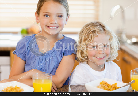 To use this stock image in your creative project, please select the size you need over to the right and click the "Add to Cart" button.
Your downloaded image will come with the Cutcaster watermark removed so don’t worry about the watermark you see on this page. Brother and sister with breakfast in the kitchen stock photo, Brother and sister together with breakfast in the kitchen by Wavebreak Media