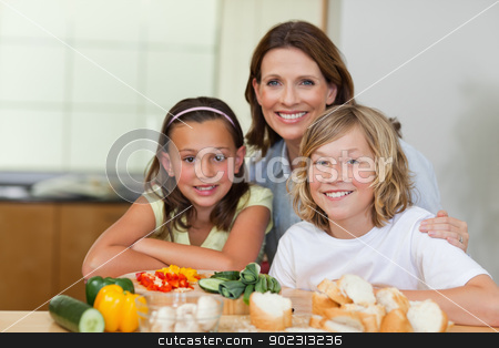 To use this stock image in your creative project, please select the size you need over to the right and click the "Add to Cart" button.
Your downloaded image will come with the Cutcaster watermark removed so don’t worry about the watermark you see on this page. Siblings and mother making sandwiches stock photo, Siblings and mother making sandwiches together by Wavebreak Media
