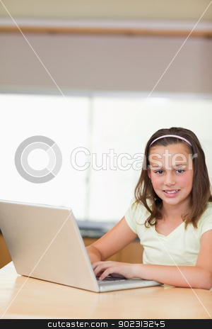 To use this stock image in your creative project, please select the size you need over to the right and click the "Add to Cart" button.
Your downloaded image will come with the Cutcaster watermark removed so don’t worry about the watermark you see on this page. Girl using laptop in the kitchen stock photo, Smiling girl using laptop in the kitchen by Wavebreak Media
