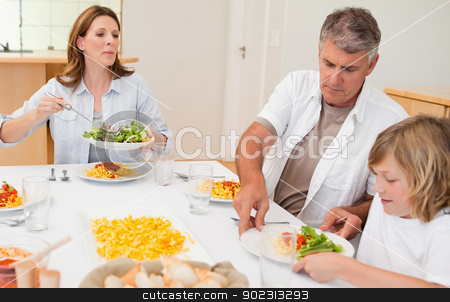 To use this stock image in your creative project, please select the size you need over to the right and click the "Add to Cart" button.
Your downloaded image will come with the Cutcaster watermark removed so don’t worry about the watermark you see on this page. Family about to start dinner stock photo, Family about to start dinner together by Wavebreak Media