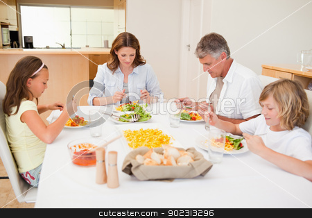 To use this stock image in your creative project, please select the size you need over to the right and click the "Add to Cart" button.
Your downloaded image will come with the Cutcaster watermark removed so don’t worry about the watermark you see on this page. Family started having dinner stock photo, Family started having dinner together by Wavebreak Media