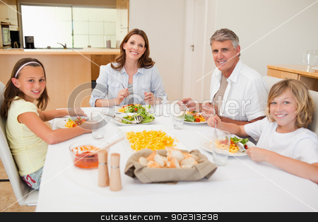 To use this stock image in your creative project, please select the size you need over to the right and click the "Add to Cart" button.
Your downloaded image will come with the Cutcaster watermark removed so don’t worry about the watermark you see on this page. Smiling family having dinner stock photo, Smiling family having dinner together by Wavebreak Media