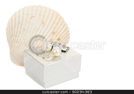 To use this stock image in your creative project, please select the size you need over to the right and click the "Add to Cart" button.
Your downloaded image will come with the Cutcaster watermark removed so don’t worry about the watermark you see on this page. two pearl earrings, shells and gift box isolated on white stock photo, two pearl earrings, shells and gift box isolated on white background by Artush