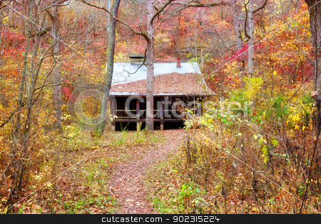 To use this stock image in your creative project, please select the size you need over to the right and click the "Add to Cart" button.
Your downloaded image will come with the Cutcaster watermark removed so don’t worry about the watermark you see on this page. settlers cabin in missouri stock photo, old settlers log cabin in missouri in fall by Phil Morley