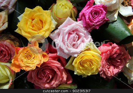To use this stock image in your creative project, please select the size you need over to the right and click the "Add to Cart" button.
Your downloaded image will come with the Cutcaster watermark removed so don’t worry about the watermark you see on this page. Multicolored rose bouquet stock photo, Big roses with water drops in a multicolored rose bouquet by Porto Sabbia