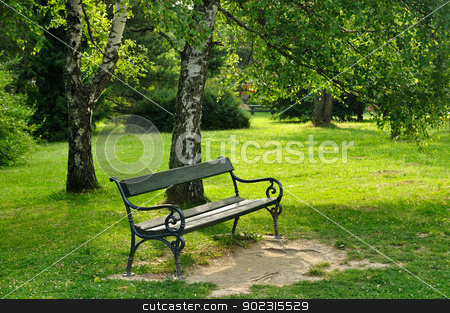 To use this stock image in your creative project, please select the size you need over to the right and click the "Add to Cart" button.
Your downloaded image will come with the Cutcaster watermark removed so don’t worry about the watermark you see on this page. Bench in park stock photo, Wooden bench and birch in spring green park by zagart