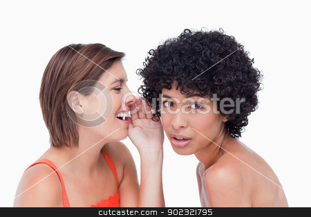 To use this stock image in your creative project, please select the size you need over to the right and click the "Add to Cart" button.
Your downloaded image will come with the Cutcaster watermark removed so don’t worry about the watermark you see on this page. Teenage girl being told a secret by a friend stock photo, Attractive teenager being told a secret by a friend by Wavebreak Media