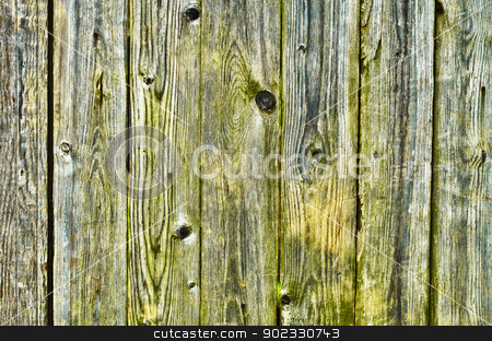 To use this stock image in your creative project, please select the size you need over to the right and click the "Add to Cart" button.
Your downloaded image will come with the Cutcaster watermark removed so don’t worry about the watermark you see on this page. Green with damp, wooden fence stock photo, The old, green with damp, wooden fence by Alexey Romanov