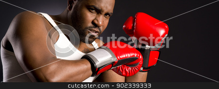 To use this stock image in your creative project, please select the size you need over to the right and click the "Add to Cart" button.
Your downloaded image will come with the Cutcaster watermark removed so don’t worry about the watermark you see on this page. Mad Boxer Looks Angrily at the Camera stock photo, This guy is serious by Christopher Boswell
