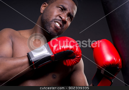 To use this stock image in your creative project, please select the size you need over to the right and click the "Add to Cart" button.
Your downloaded image will come with the Cutcaster watermark removed so don’t worry about the watermark you see on this page. Boxer on Blcak With Red Gloves stock photo, A boxer punches a heavy bag by Christopher Boswell