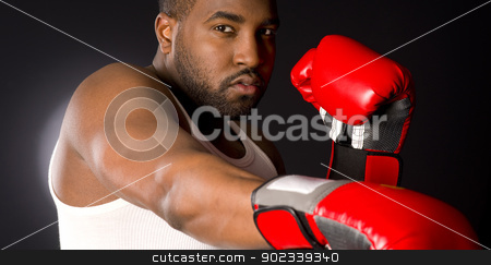 To use this stock image in your creative project, please select the size you need over to the right and click the "Add to Cart" button.
Your downloaded image will come with the Cutcaster watermark removed so don’t worry about the watermark you see on this page. Puncher Lays down a Blow stock photo, A boxer punches at you by Christopher Boswell