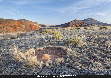 To use this stock image in your creative project, please select the size you need over to the right and click the "Add to Cart" button.
Your downloaded image will come with the Cutcaster watermark removed so don’t worry about the watermark you see on this page. ant nest sand cone stock photo, ant nest sand cone in high prairie surrounded by redstone mountains - Red Mountain Open Space near Fort Collins, Colorado, winter with dry grass and traces of snow by Marek Uliasz