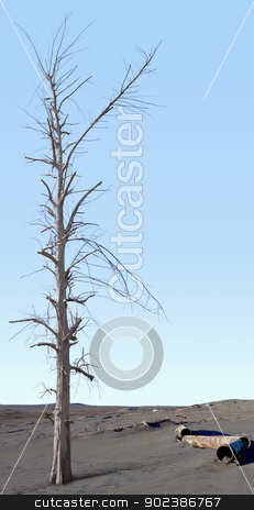 To use this stock image in your creative project, please select the size you need over to the right and click the "Add to Cart" button.
Your downloaded image will come with the Cutcaster watermark removed so don’t worry about the watermark you see on this page. Dead tree in the zone of ecological disaster stock photo, Dead tree in the area of environmental disaster by Alexey Romanov