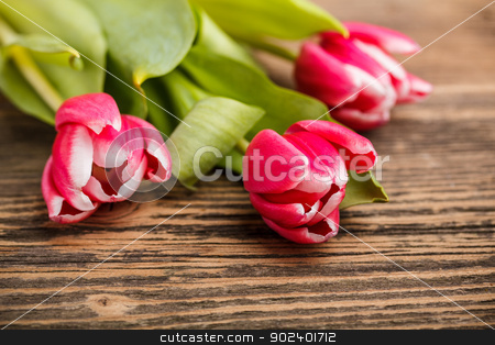 To use this stock image in your creative project, please select the size you need over to the right and click the "Add to Cart" button.
Your downloaded image will come with the Cutcaster watermark removed so don’t worry about the watermark you see on this page. Bouquet of red tulips stock photo, Bouquet of red tulips on rustic wooden background by Grafvision
