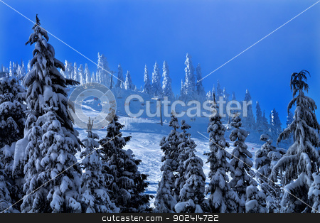 To use this stock image in your creative project, please select the size you need over to the right and click the "Add to Cart" button.
Your downloaded image will come with the Cutcaster watermark removed so don’t worry about the watermark you see on this page. Sking Chairlifts Snowy Trees at Snoqualme Pass Washington stock photo, Sking Chairlifts Snowy Trees on Snow Mountain at Snoqualme Pass Washington. by William Perry