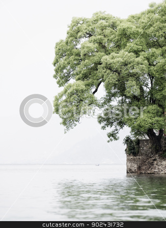 To use this stock image in your creative project, please select the size you need over to the right and click the "Add to Cart" button.
Your downloaded image will come with the Cutcaster watermark removed so don’t worry about the watermark you see on this page. Tree next to a lake stock photo, Tree on Barahi Temple island in Pokhara, Nepal, vertical shot by Dutourdumonde